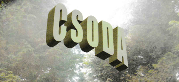 Könyvajánló – Nemere István: Csoda – Miraklo, a csodás állam